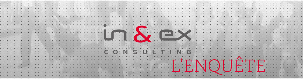 Inex Consulting - l'enquête